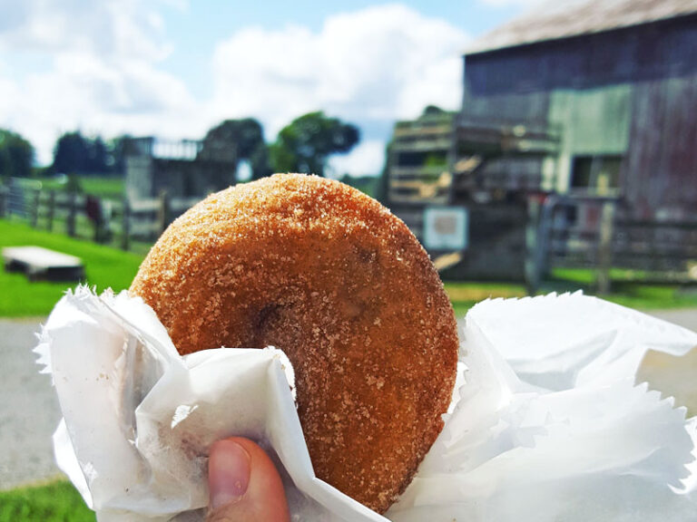 Cider Mills & Donuts 60+ Michigan Farms with the Best Fall Treats