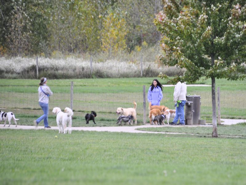 Grand Ravines Dog Park and drinking fountain