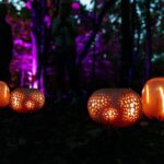 Fall into Fun at Meijer Gardens with Glowing Pumpkins, Live Music & Colorful Night Lights – 2025