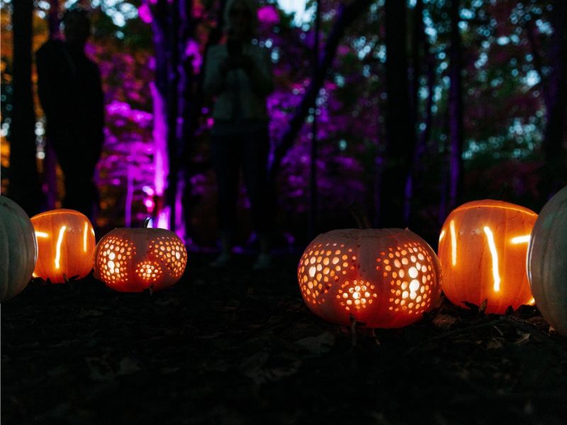 Meijer Gardens Glow Garden Pumpkins