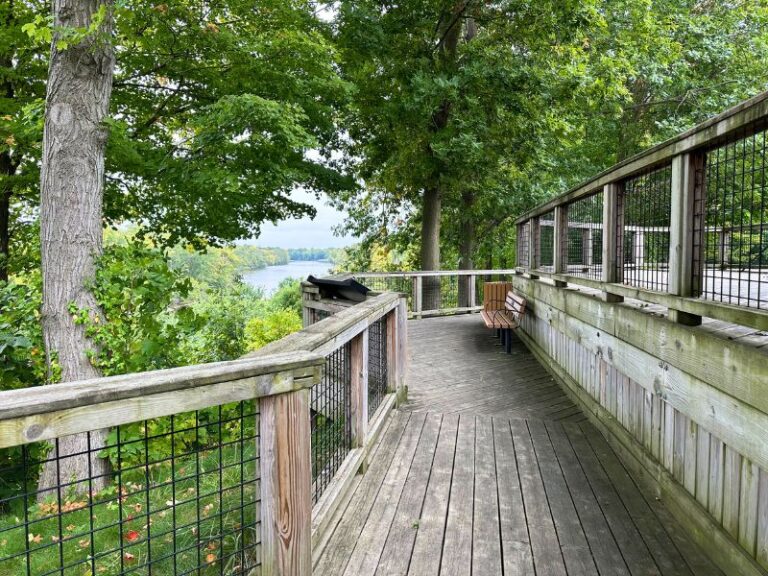 Tree House Tops Off Stunning Grand Ravines Park in West MI: Enjoy 2 ...