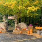 Walk the Glowing Pumpkin Path in Allendale, Now Through Saturday, Oct 28, 2023!