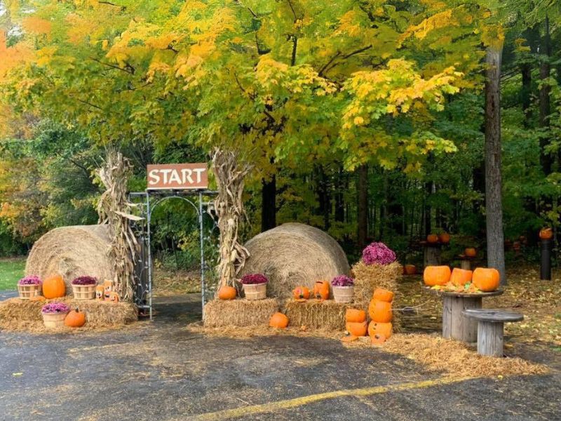 Allendale Pumpkin path entrance
