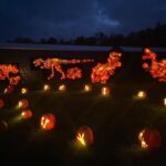 Hold My Cider: Michigan Pumpkin Swims, Punkin Chunkin, Jack O’Lantern Path & Other Don’t-Miss Pumpkin Events in October 2023