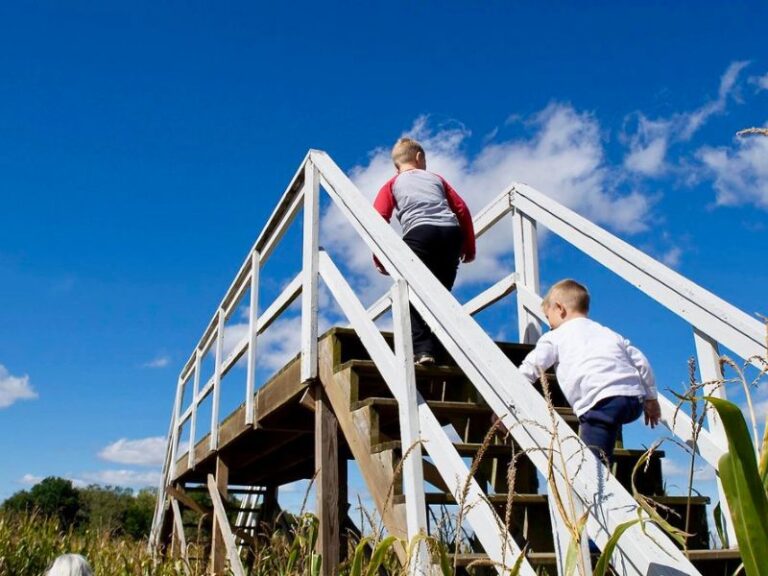 KidFriendly Halloween Lights, Daytime Corn Maze at New Salem Haunt for