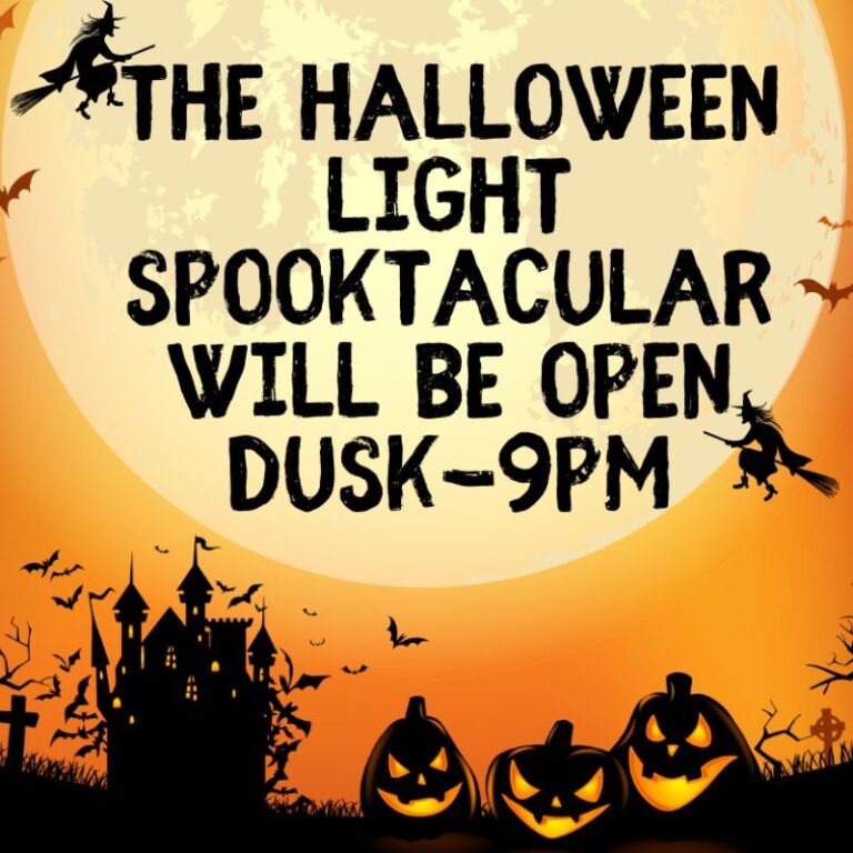 KidFriendly Halloween Lights, Daytime Corn Maze at New Salem Haunt for