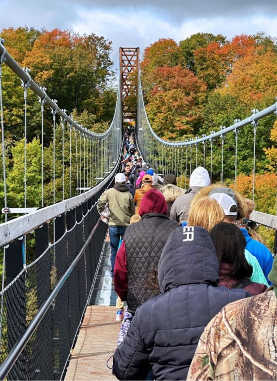 SkyBridge Michigan’s Lights in the Sky Returns Nov 2024: Here’s What to ...