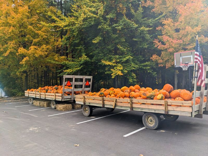 Visser Farm Pumpkin Walk Delivery