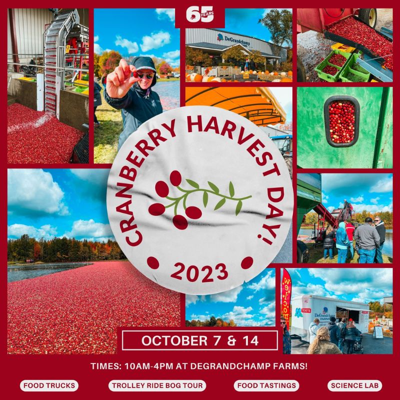 cranberry harvest day 2023 degrandchamp farms
