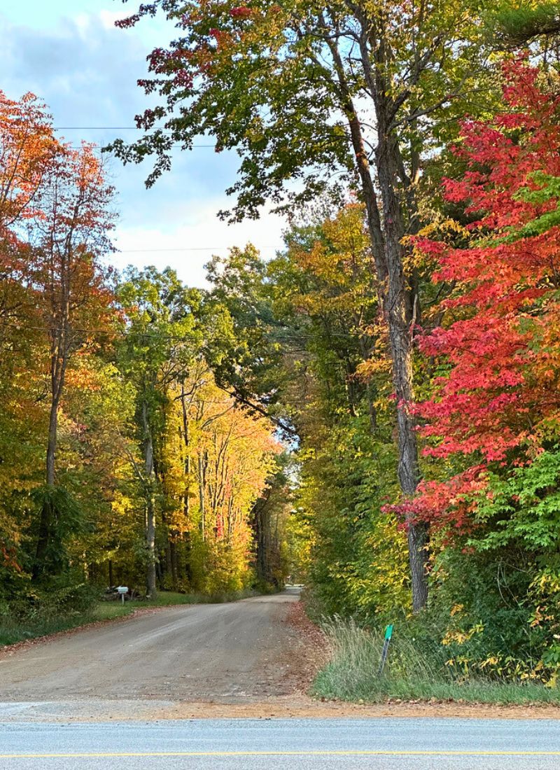 Dirt road in Ottawa County with fall colors