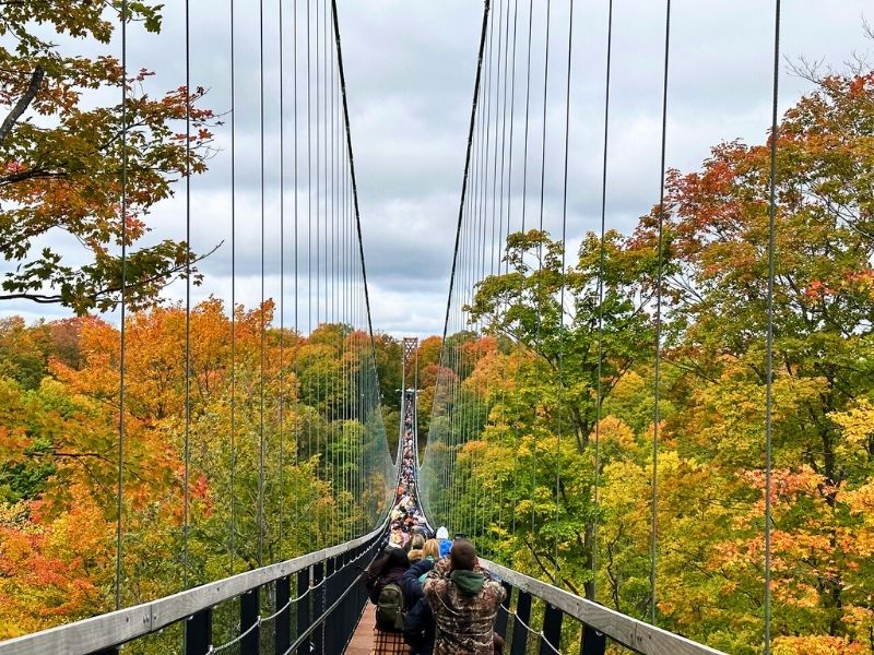 skybridge Michigan fall colors