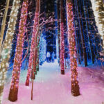 13 Merry & Bright Walk Through Christmas Lights Experiences in Michigan for 2025