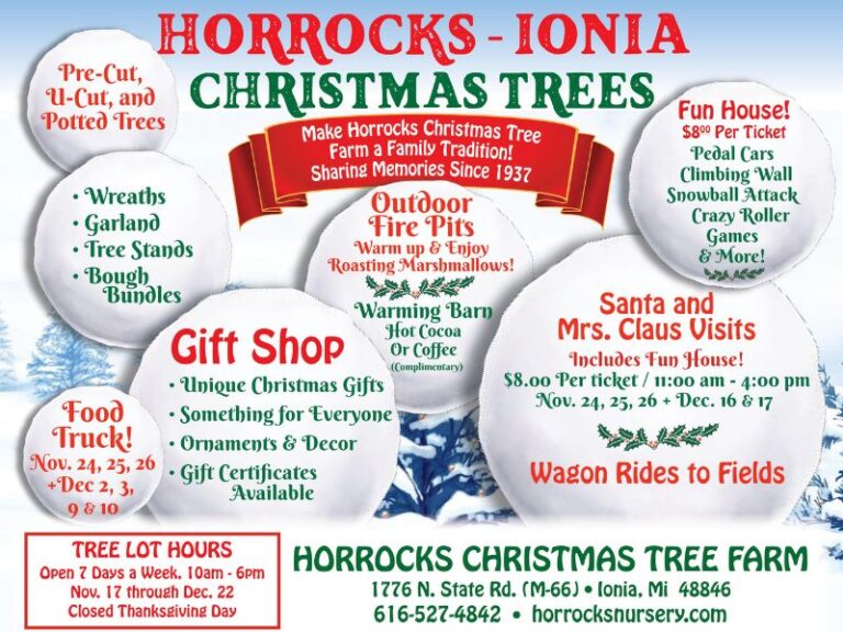 Horrocks Christmas Tree Farm Events 2023 768x576 