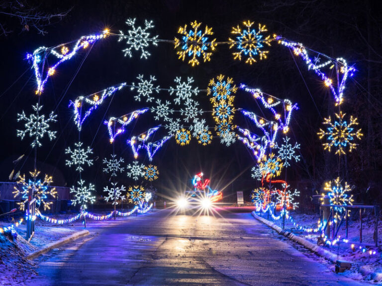 Michigan's 16 Best Drive Through Christmas Lights for 2024