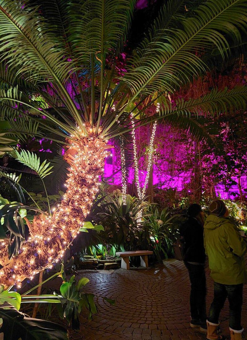 Meijer Gardens Christmas Tropical Conservatory