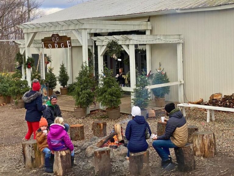West Michigan Christmas Tree Farms 15+ Places to Cut Your Own
