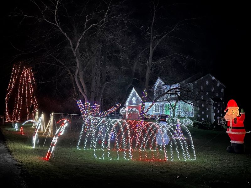 Image for The Crazy Christmas Lady's Lights