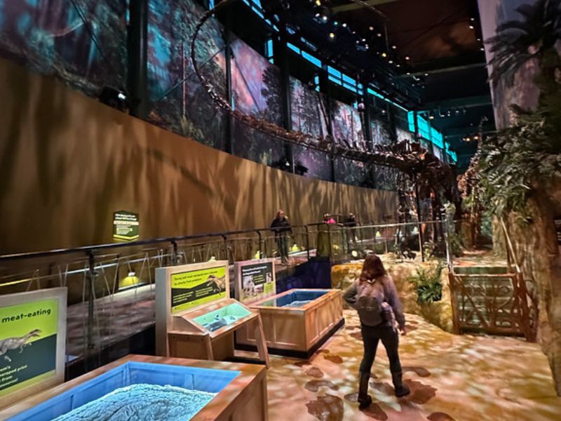 The Children's Museum of Indianapolis Dinoshpere Dinosaurs