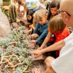 Grow, Learn and Create Unforgettable Memories at Frederik Meijer Gardens & Sculpture Park Summer Camps