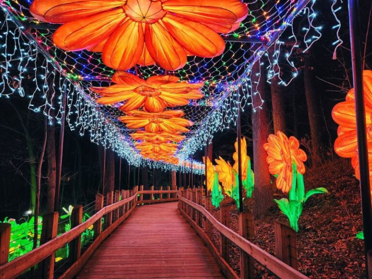 Grand Rapids Lantern Festival Returns to John Ball Zoo for 2025