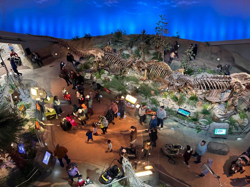 overlooking The Children's Museum of Indianapolis dinosphere