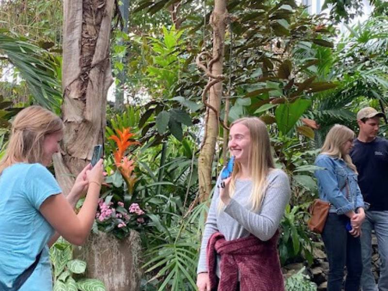 Meijer Gardens Butterflies in the conservatory taking photos