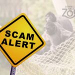 Fake Ticket Alert: John Ball Zoo Warns of Scam Activity