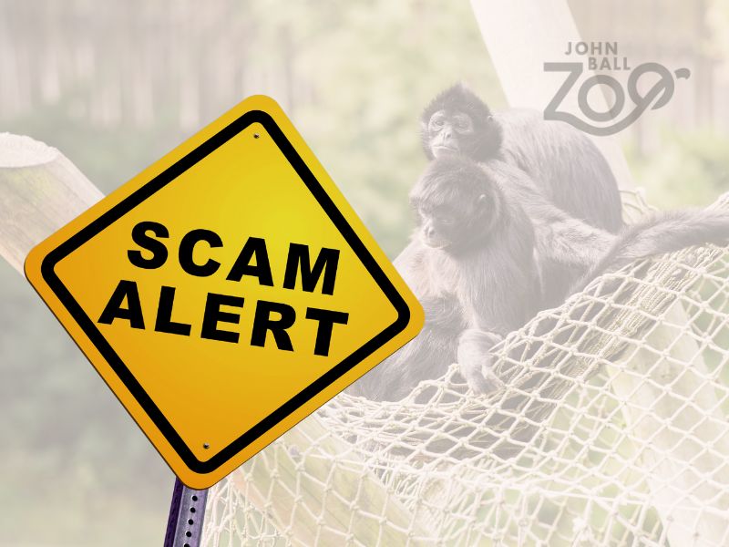 John Ball Zoo social media scams