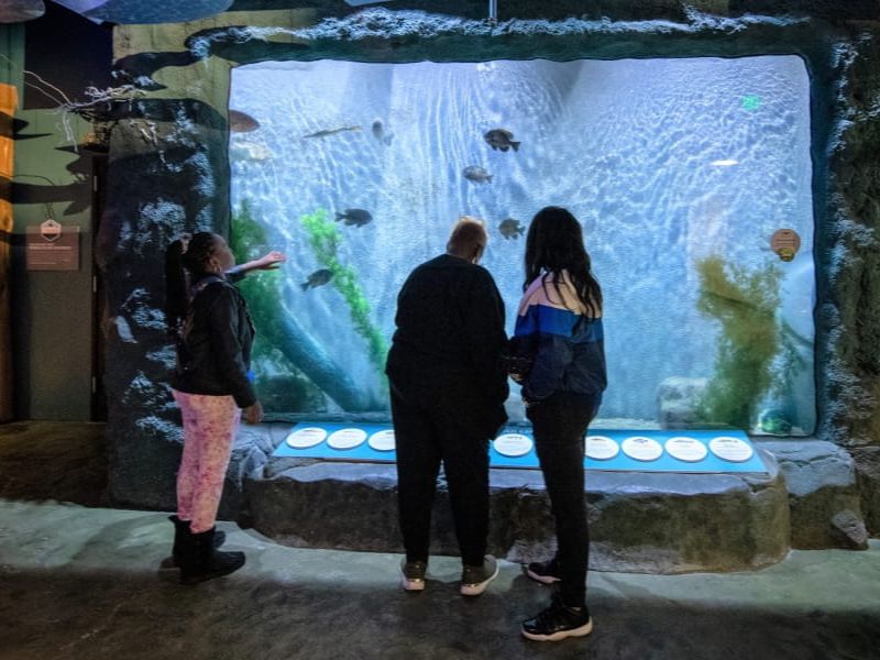 Aquarium - MI DNR Outdoor Adventure Center - Detroit - FB