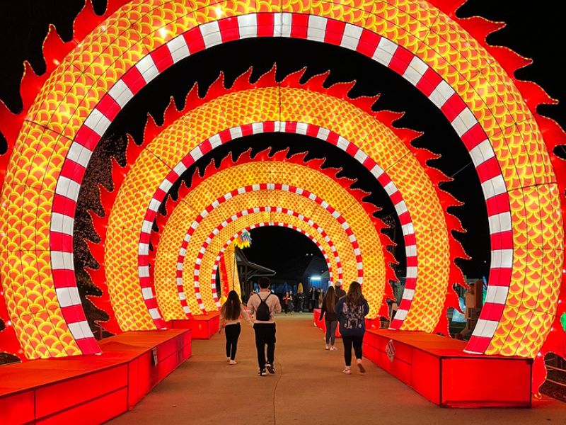 Dragon tunnel lantern festival grand rapids