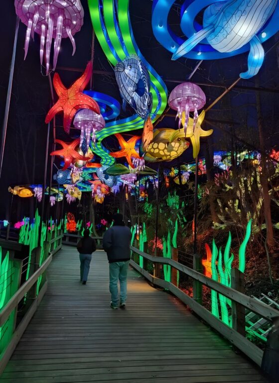Grand Rapids Lantern Festival Returns to John Ball Zoo for 2025