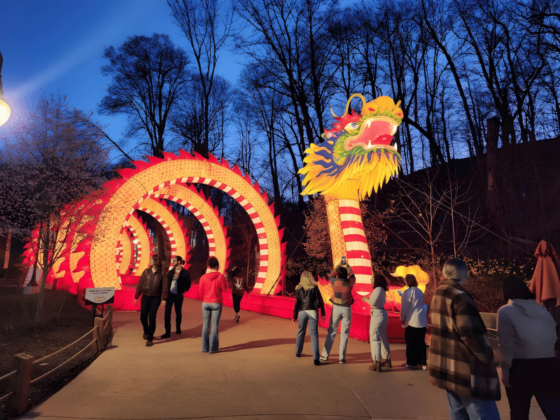 Grand Rapids Lantern Festival dragon tunnel