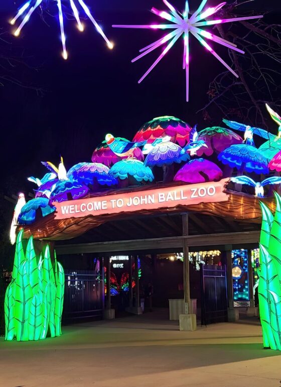 John Ball Zoo Lantern Festival Returns to Grand Rapids for 2024. GR Zoo