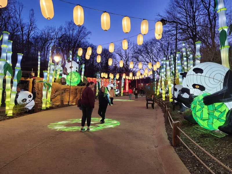 Lantern Lights on the walkway John Ball Zoo 2024