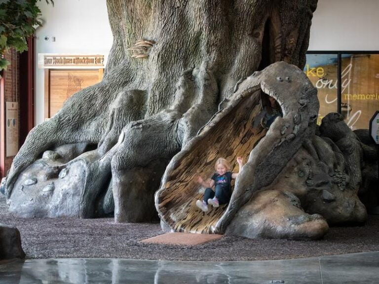 Dnr Outdoor Adventure Center