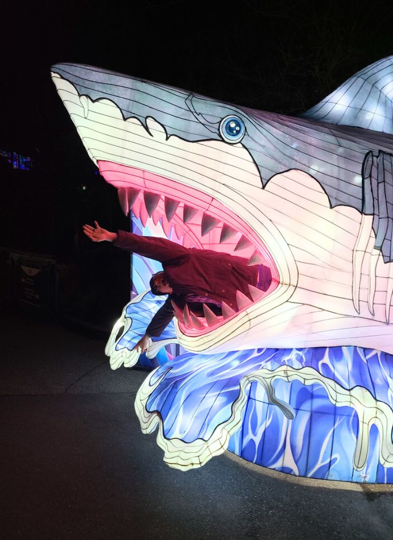 Lantern festival eaten by shark