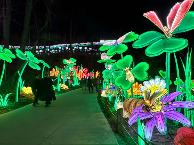 gr lantern festival pathway