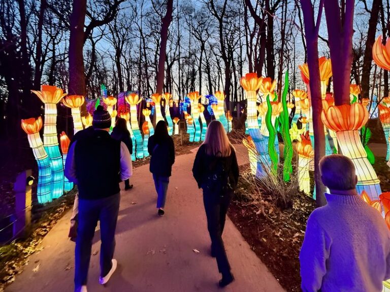 Grand Rapids Lantern Festival Returns to John Ball Zoo for 2025 Lantern Festival 2025 John Ball Zodiac