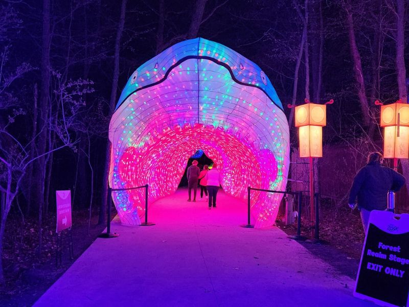 lantern festival shark tunnel