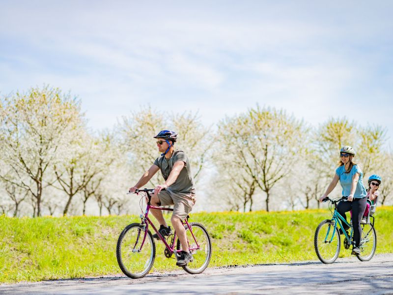 Biking With Toddler- Traverse City 