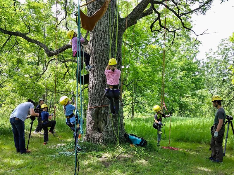 Bo Burke Climb a Tree Photos Traverse City