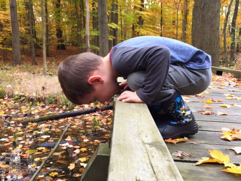 Boy looks for frogs during a hike. at Calvin Eco Preserve in Grand Rapids.