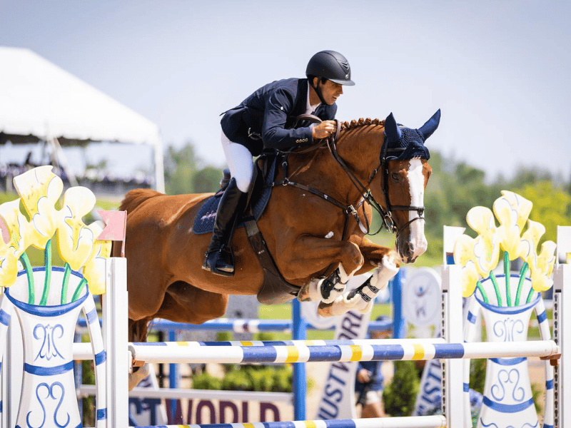 Traverse City Horse Shows 📷 @megangiesephotography