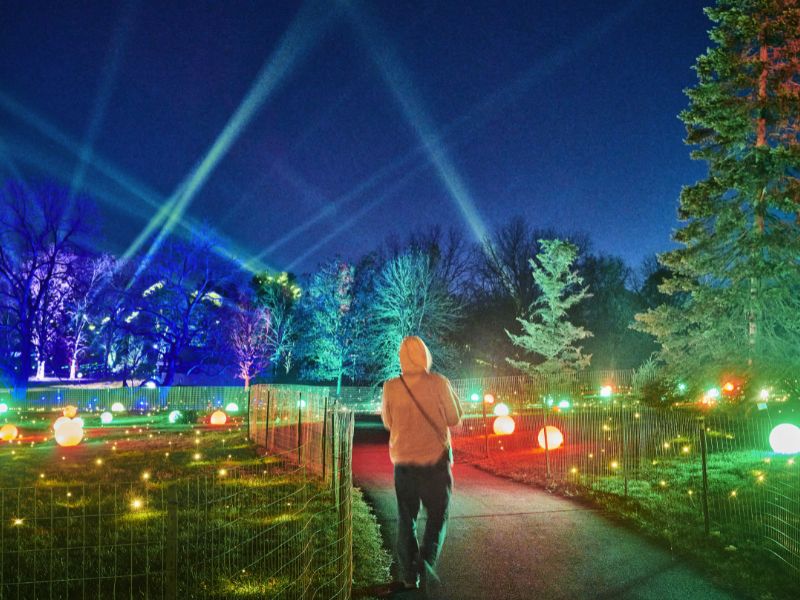 Illumination at Morton Arboretum Courtesy of Lightswitch 