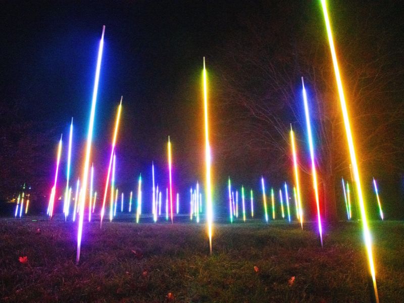 Illumination at Morton Arboretum Courtesy of Lightswitch