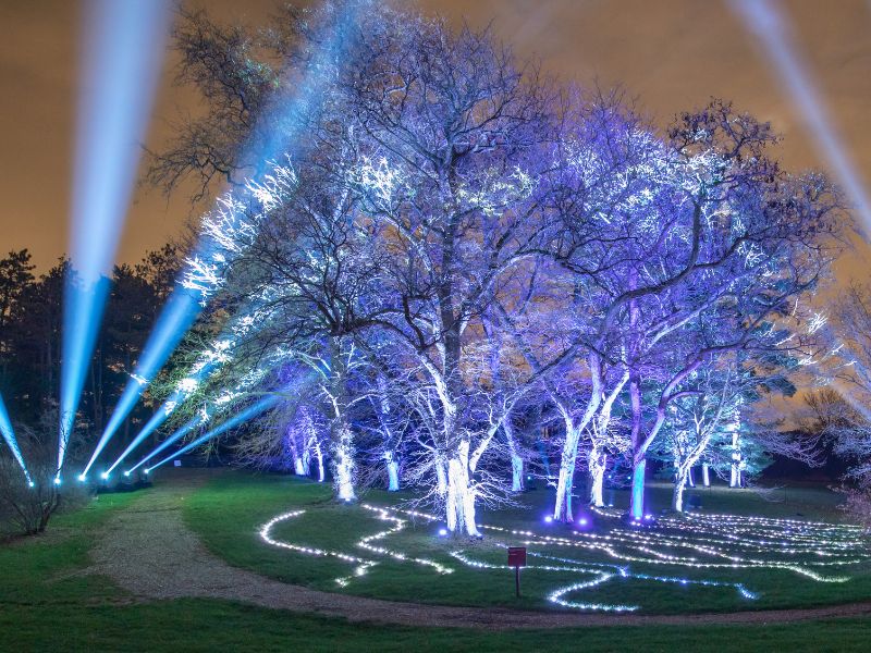 Illumination at Morton Arboretum Courtesy of Lightswitch (1)