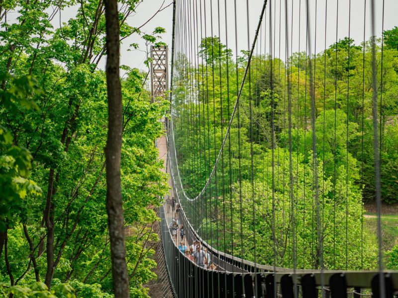 Boyne Skybridge in the Summertime