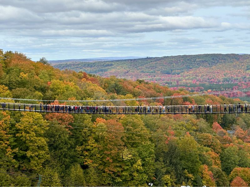 skybridge in fall wide view vanderweide