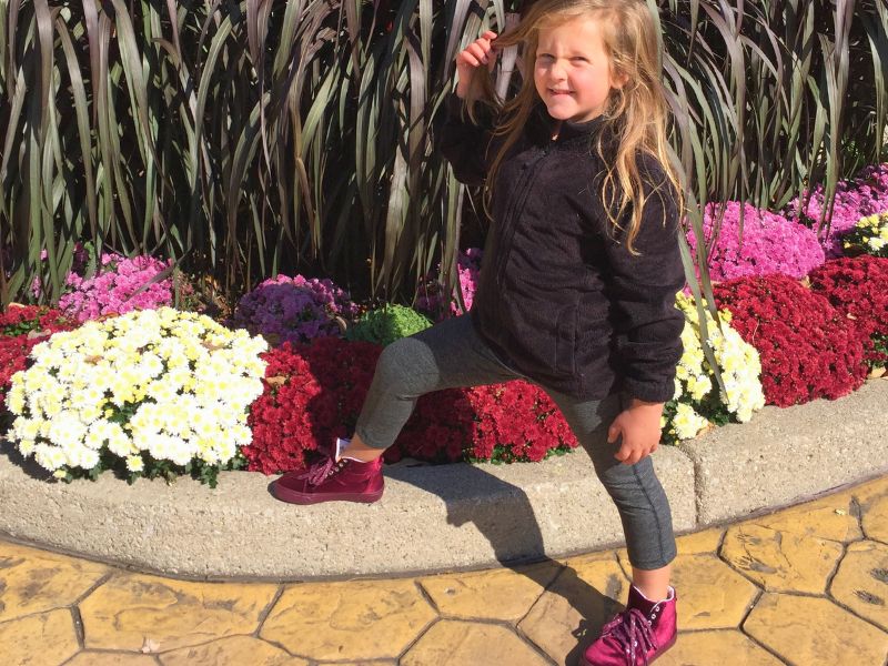 Chrysanthymums & More in the Fall at Meijer Gardens.