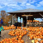 30 of the Best Fall Festivals in Michigan for 2025